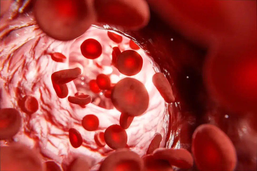 blood stream